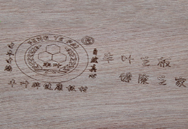 木材的構(gòu)造